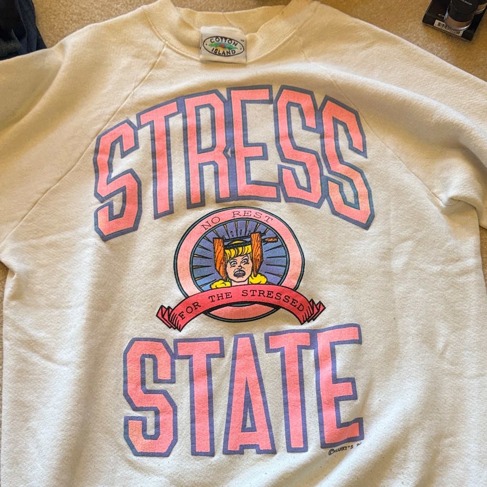 Vintage Cream Sweatshirt with Pink and Blue Graphic. Good condition for vintage.